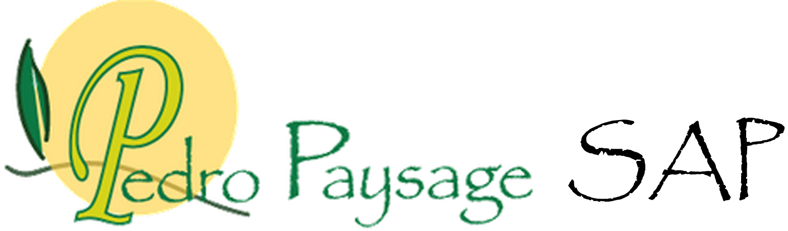Pedro Paysage SAP